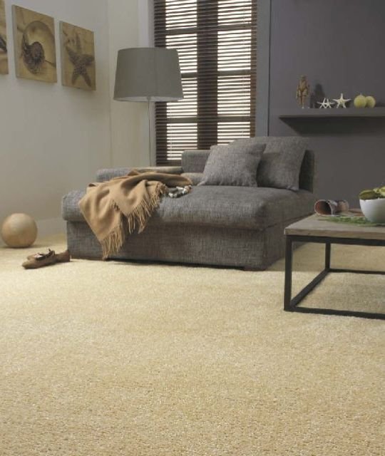 Warm carpet