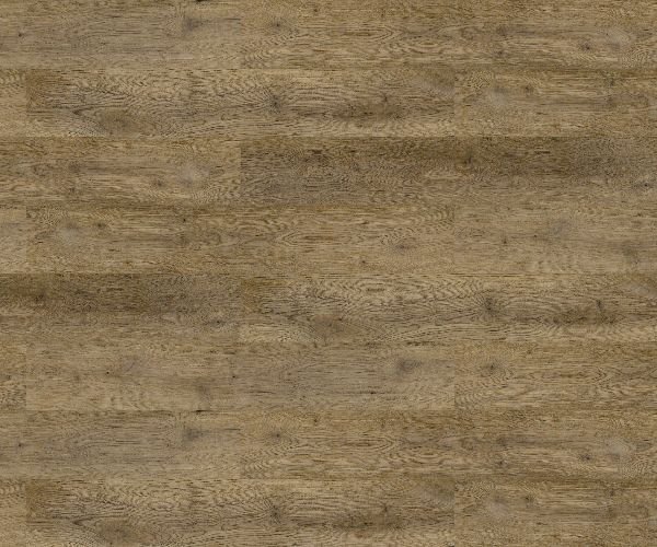Sandy Oak Texture