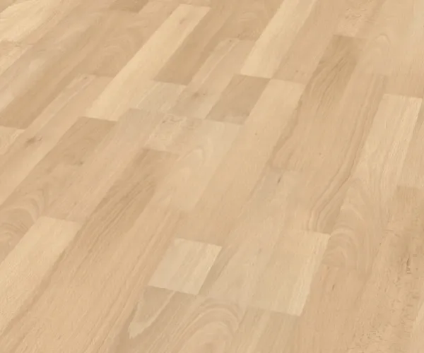 Beech Royal - D1407-1