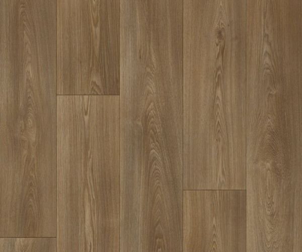 Columbian Oak 649M
