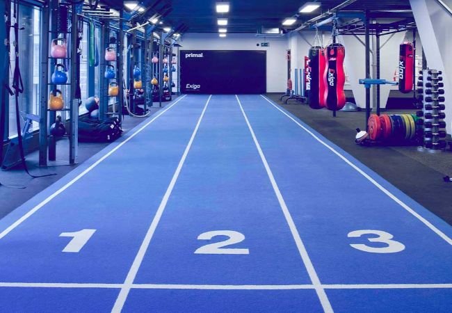 Colorful Gym Flooring