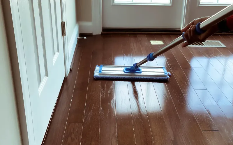 Maintain Daily Cleaning